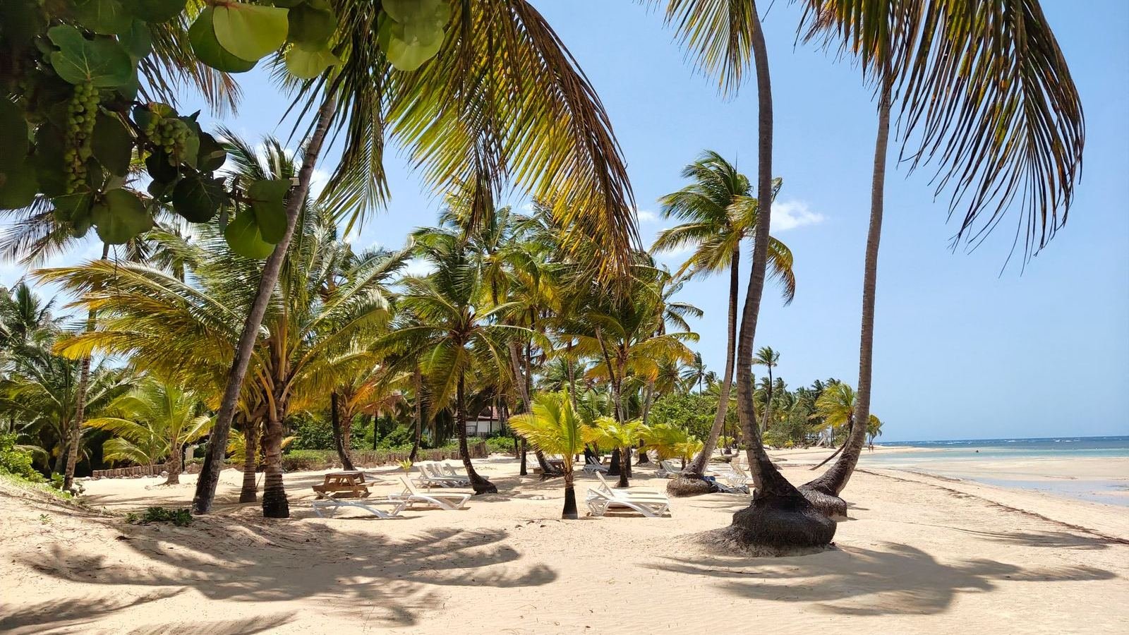 Bahía de Samaná